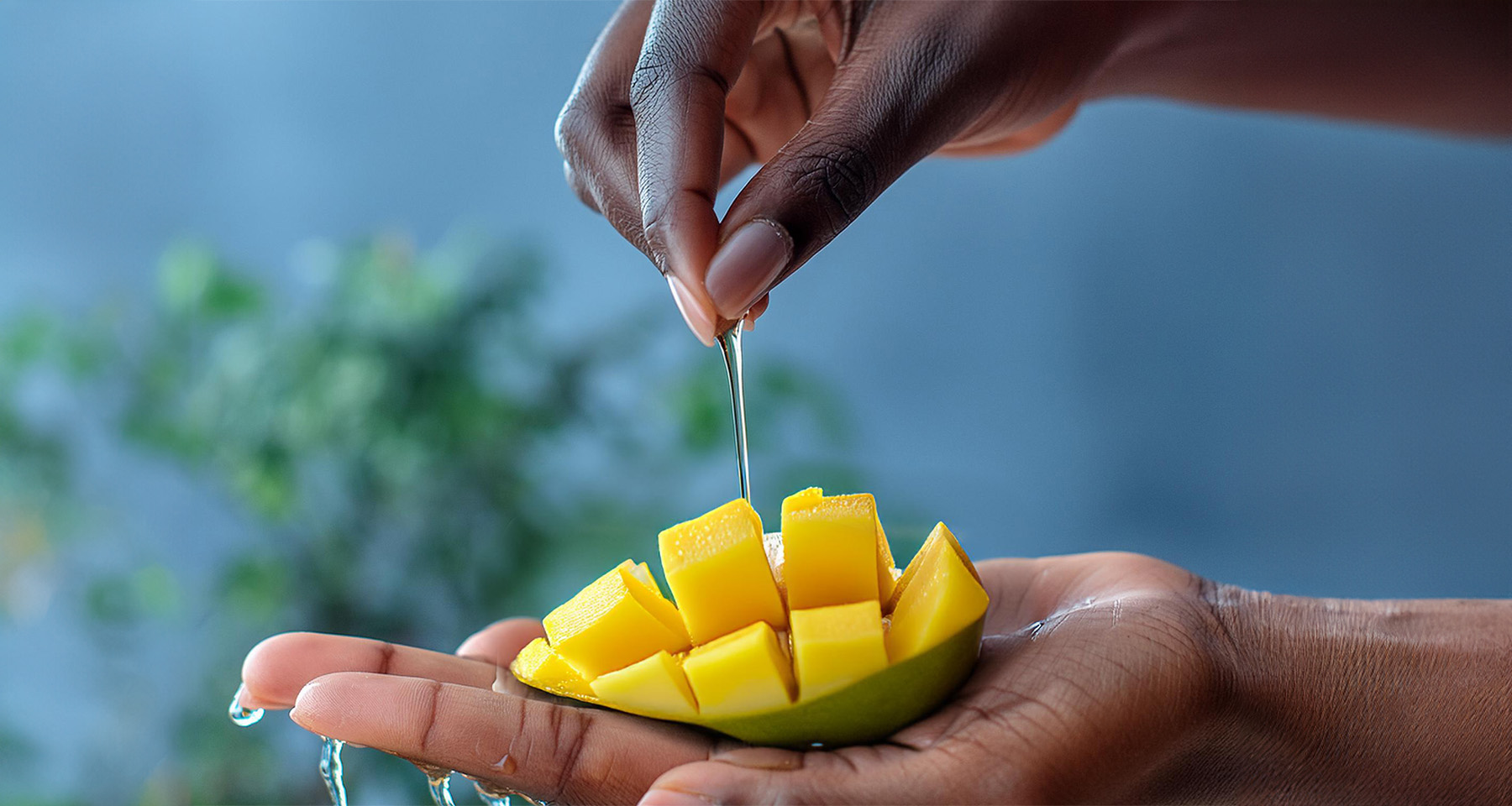 La douceur de la mangue sur votre peau